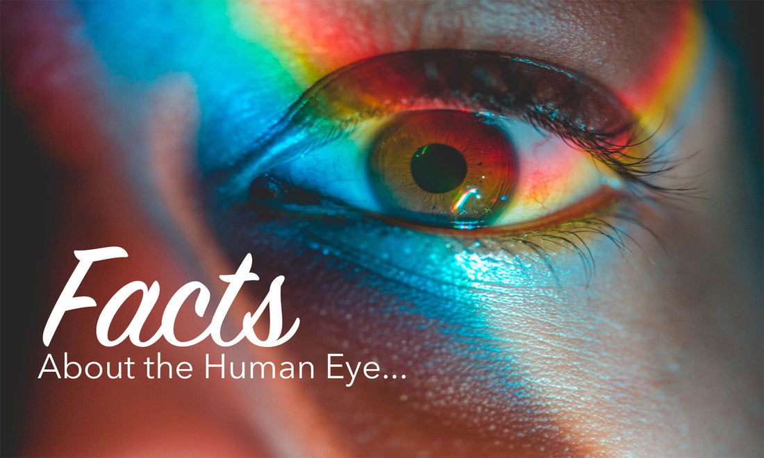 Interesting Facts About the Human Eye